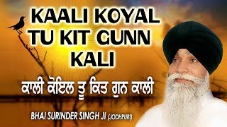 KAALI KOYAL TU KIT GUNN KALI  BHAI SURINDER SINGH JODHPURI  SHABAD GURBANI [upl. by Mharba]