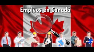 ¡No te pierdas 10 ofertas de empleo en Canadá [upl. by Iv]