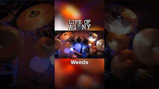 🔥 quotWeedsquot by LIFE OF AGONY  Clip 2  drumcover heavymetal drums lifeofagony [upl. by Pennie]