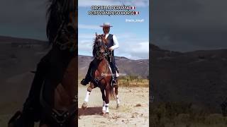 CABALLO PERUANO DE PASO 🇵🇪 Cultura Peruana historia El CABALLO mas HERMOSO MARINERA VALS PERUANO [upl. by Veedis271]