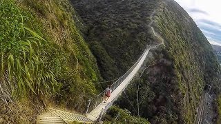 Stairway to Heaven  Paekakariki Escarpment Track New Zealand [upl. by Annabela]