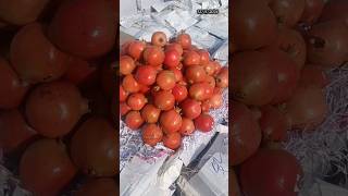 Today fruits rates 😍😋  Edhi Yaaparam  Pavan Kumar Undamatla [upl. by Htevi]