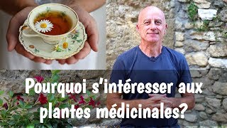 Pourquoi sintéresser aux plantes médicinales [upl. by Gassman794]