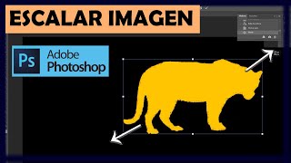 ➜ Cómo ESCALAR una Imagen en PhotoShop【 Diferentes Métodos 】 [upl. by Jemy275]