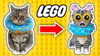 I Turned My Cat Into LEGO [upl. by Celia486]