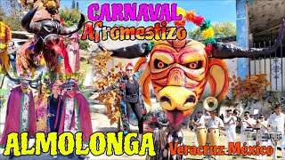 CARNAVAL Afromestizo Almolonga Naolinco Veracruz México Disfrazados Banda Danzas Feria Comida [upl. by Sullivan]