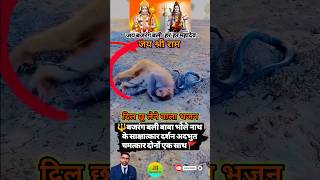 दिल छू लेने वाला भजन सबसे बड़ा है तेरा नाम भोलेनाथ harerama bholenath hanuman bhajan shorts [upl. by Lozano461]