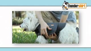 Thundershirt Gray Dog Anxiety Treatment Shirt at Bed Bath amp Beyond [upl. by Conni]