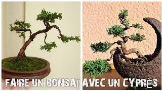 FAIRE UN bonsaï aves un CYPRÈS VOL 1 [upl. by Leona985]