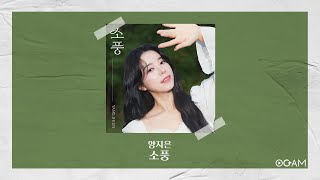 New Release 양지은  소풍 │ 전체 듣기 [upl. by Fillender]