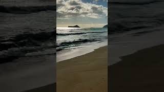 Oahu Hawaii shorts beachlife islandvibes paradise eastside [upl. by Nadnerb]