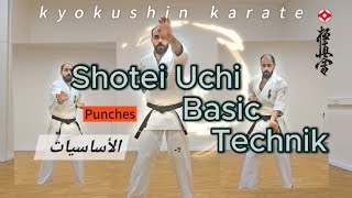 أنواع الضربات شوتيه في الأساسيات كيوكوشن كاراتيه  Basic Types 🔥Punches Shotei Uchi Kyokushin karate [upl. by Kaiser900]