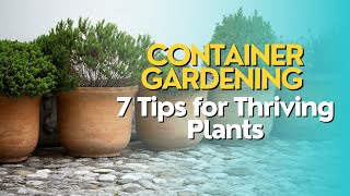 Container Gardening 7 Tips for Thriving Plants [upl. by Lehcor]