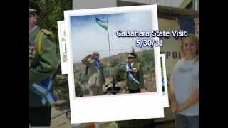 Molossia Year In Review 20112012 [upl. by Neelsaj192]