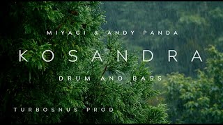 KOSANDRA Drum and Bass remix miyagi andypanda [upl. by Odragde]