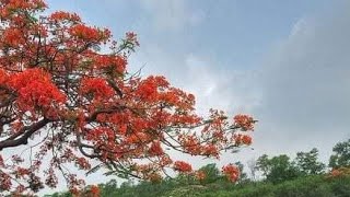 মনে করো আমি নেইmone koro ami nei সুমন কল্যাণপুর [upl. by Adnilim]