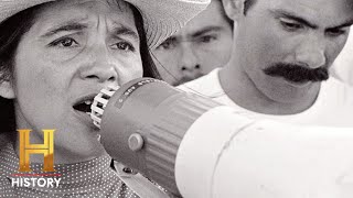 Dolores Huerta Leads a Powerful Movement  History  Shorts [upl. by Einahpets]