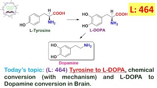 L 464Tyrosine to LDOPA mechanism amp LDOPA to Dopamine conversion in Brain by Dr Tanmoy Biswas [upl. by Stewardson25]