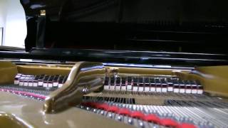 Petrof Model II Grand Piano [upl. by Anu638]