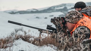 Limits  Andy Stumpf Hunting Elk in Montana [upl. by Dinan]