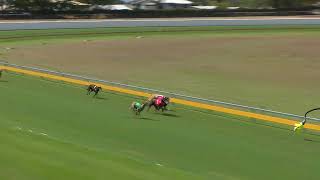 Bundaberg16092024Race6 [upl. by Flatto]