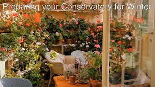 How to overwinter geraniums geraniums gardentips [upl. by Bandur]