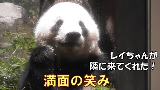 33レイレイが隣に来てくれた！笑顔満開でどれだけ嬉しいのかよく分かるgiantpanda tokyo 上野動物園 [upl. by Enorel]