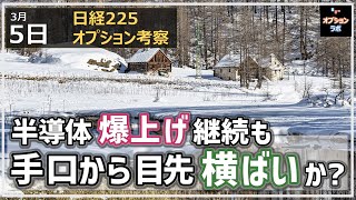 【日経225オプション考察】35 半導体 爆上げ継続も、手口から目先横ばいないし少し下げも？ [upl. by Jamison]