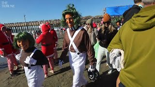 See 2024 New Year With 44th Annual Polar Bear Dip in Cayucos [upl. by Yleve]