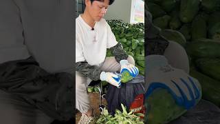 Turnover of millions from papaya cultivation 😱💯shorts youtubeshorts ytshorts shortvideo [upl. by Yoko725]