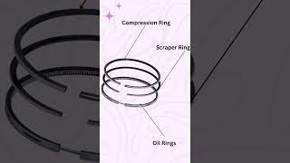 Types of Piston Rings and their Function [upl. by Aitekram]