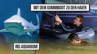 Mit dem Gummiboot zu den Haien ins Aquarium [upl. by Katharina805]