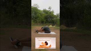 Paschimottanasana is a seated forward bend yoga [upl. by Adnaluy]