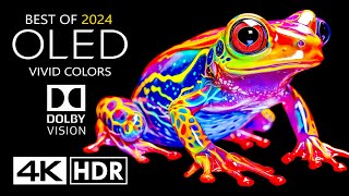 BEST OF OLED Test 4K HDR 60 FPS Dolby Vision 4K Video [upl. by Tillie]