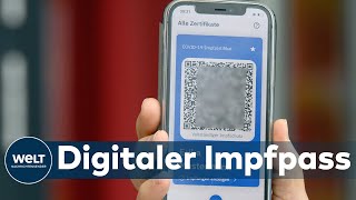 TEURER IMPFAUSWEIS Staat greift für digitalen Impfpass tief in die Tasche  Opposition übt Kritik [upl. by Bethel]