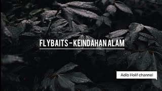 Flybaits  Keindahan Alam  Lirik  High Quality [upl. by Cini409]