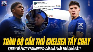 TOÀN BỘ CẦU THỦ CHELSEA TẨY CHAY KHINH BỈ ENZO FERNANDES CÁI GIÁ PHẢI TRẢ QUÁ ĐẮT [upl. by Wynny]