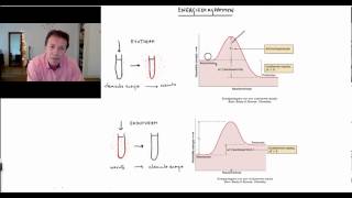 Energiediagrammen  Scheikundelessennl [upl. by Cohen936]