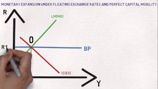 International Economics MundellFleming Model [upl. by Drye325]