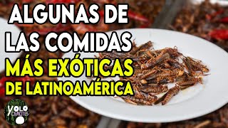 Sabores Únicos Las Comidas Más Exóticas que Ofrece Hispanoamérica [upl. by Vannie]