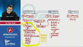 CIENCIAS BÁSICAS  Hematología Fisiología I [upl. by Taite210]