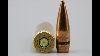 762x51mm 147gr FMJ SalTech Made in Switzerland Review [upl. by Ayikahs986]