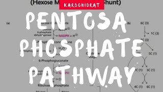 Pentose Phosphate Pathway [upl. by Meeki610]