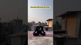 Morning stretch 🧘‍♀️ yoga yogapractice yogainspiration shortsfeed shorts youtube [upl. by Northway]