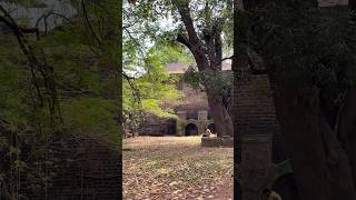 St Angelos Fort 🫶 കണ്ണൂർ travel kerala shortvideo kannur [upl. by Yevrah]