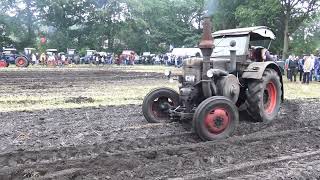 Lanz Bulldog  Traktoren im Einsatz  historischer Feldtag Nordhorn [upl. by Rorie]