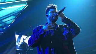 The Weeknd  In The Night LIVE [upl. by Boulanger745]