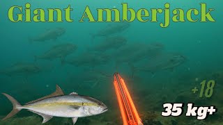 Spearfishing Giant Amberjack  Dev Kuzu Avı 18 [upl. by Ellsworth64]