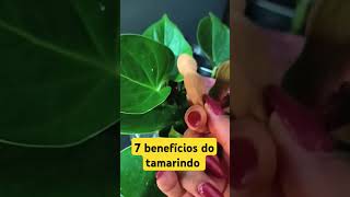 Você conhece os benefícios do tamarindo Deixe nos comentáriosshorts dietassaudaveis saúde diet [upl. by Leimaj]