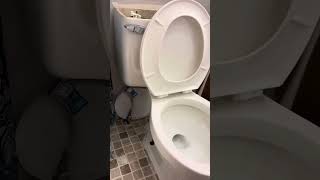 Kerry Mangum 2 comfort height toilet install [upl. by Leeann]